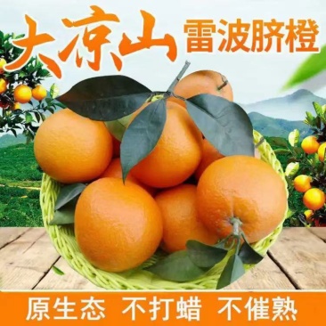 雷波脐橙，鲜香可口入口化渣)基地直供品质优可视频看货