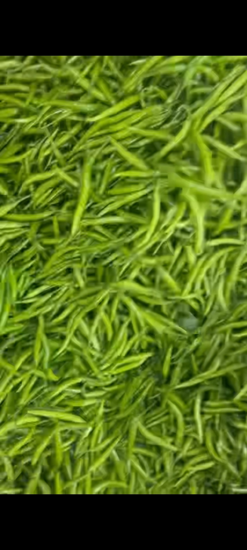山东本地杭椒蔬菜批发零售超市青椒薄皮椒大量上市小米辣