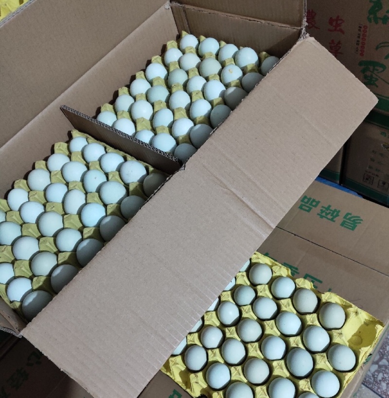 云台山绿壳鸡蛋，品质好，质量佳。欢迎电话联系我。