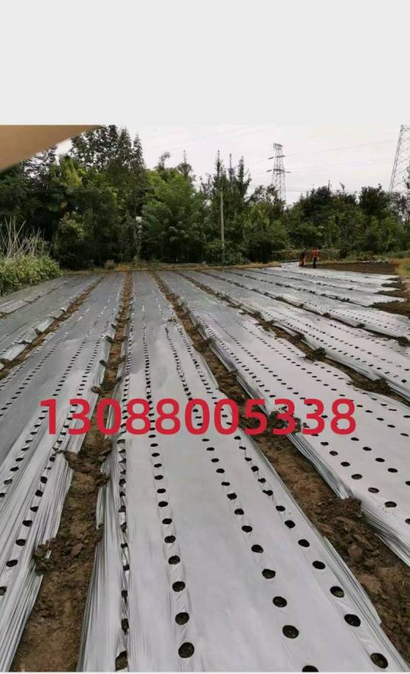 地膜开孔定制尺寸农资批发