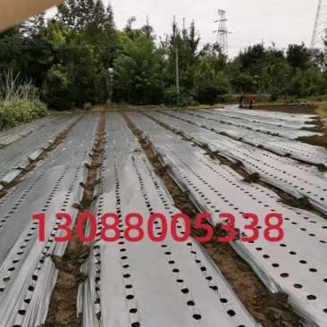 打孔地膜批发黑色白色