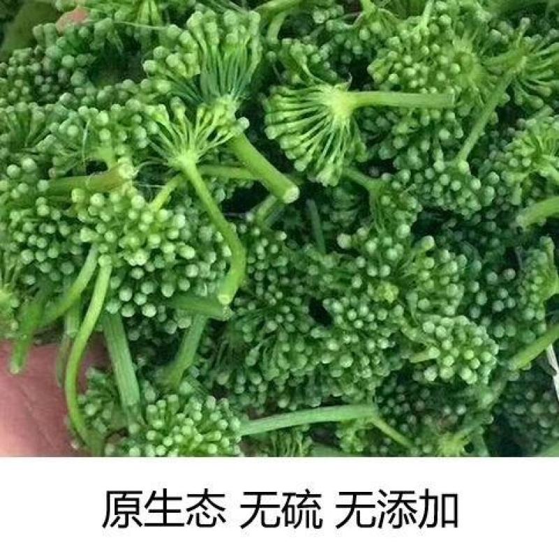 人参花长白山特产500g泡水野生人参花蕾包邮