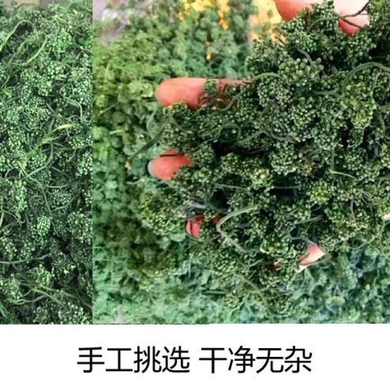 人参花长白山特产500g泡水野生人参花蕾包邮