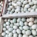 河南【鲜鸭蛋】对接市场档口商超量大从优规格齐全品质好