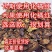 正宗橘红陈年碎片正毛桔红胎果切片化州中药材