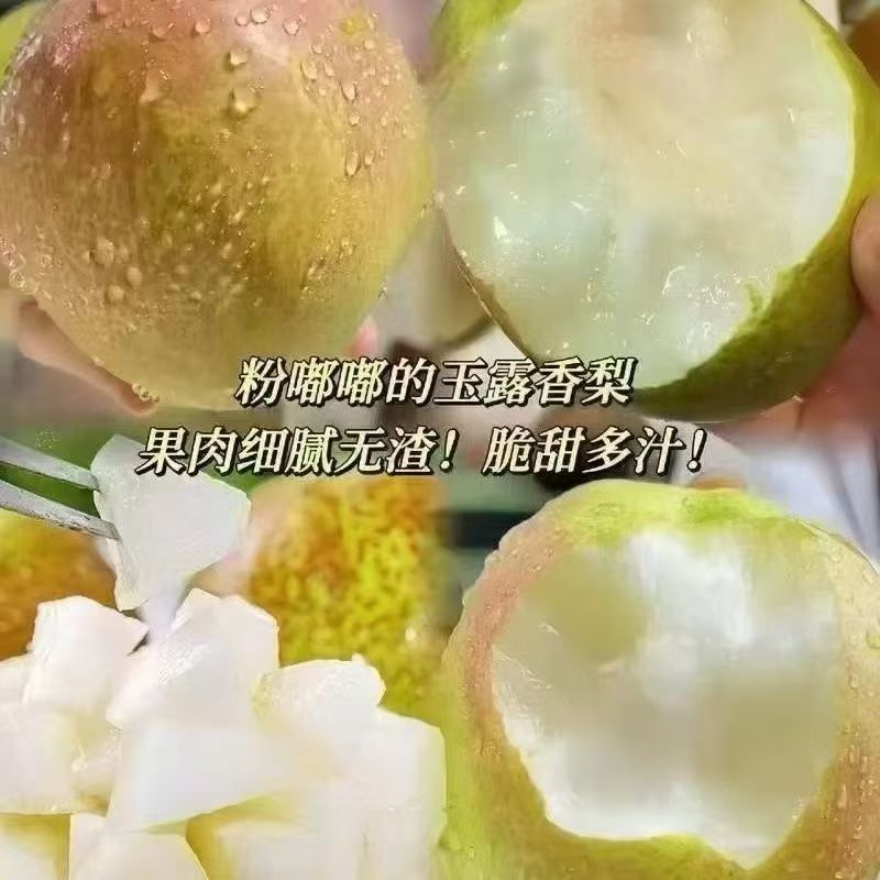隰县玉露香梨