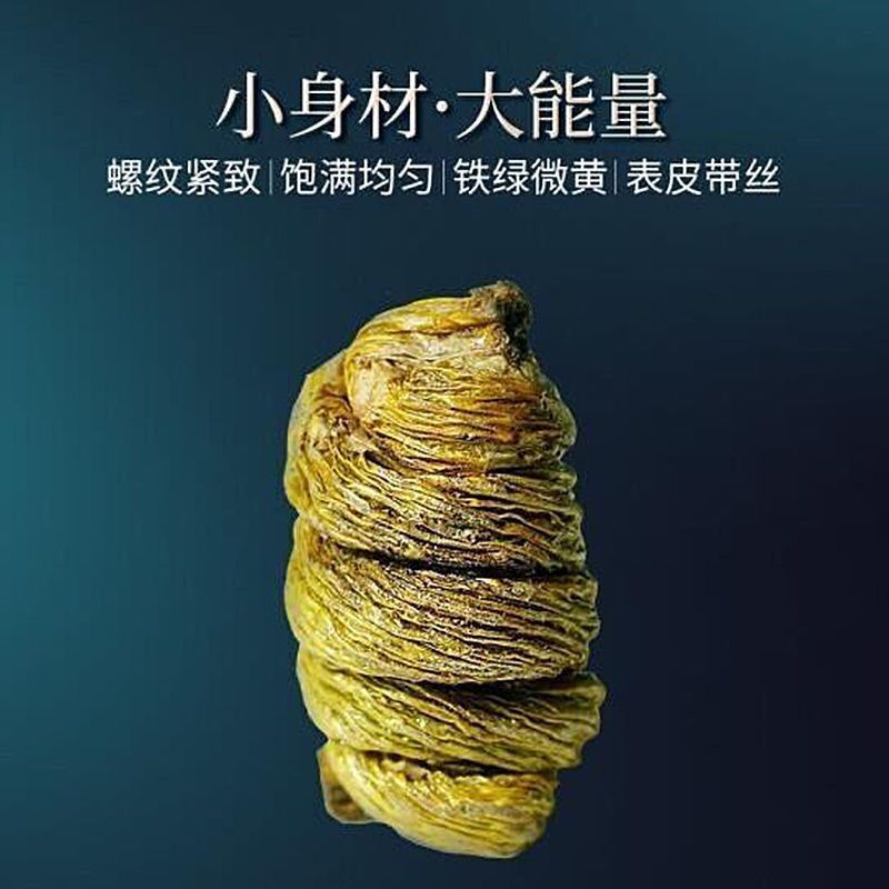正宗霍山铁皮石斛条枫斗特级颗粒云南铁皮石斛正品胶质浓
