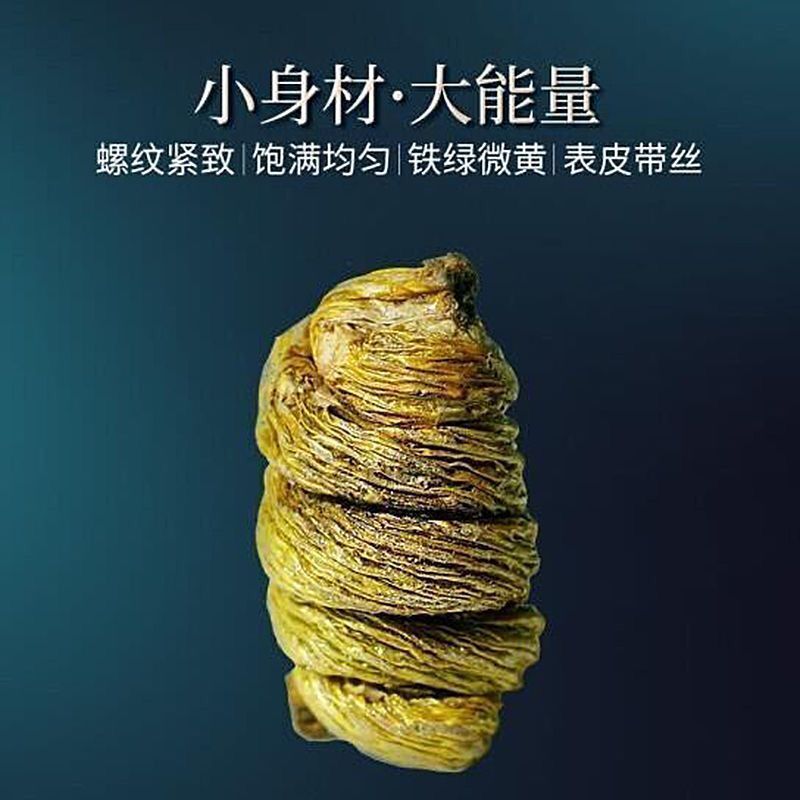 正宗霍山铁皮石斛条枫斗特级颗粒云南铁皮石斛正品胶质浓