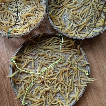 广西柳州野生天冬。有干的。有生的。