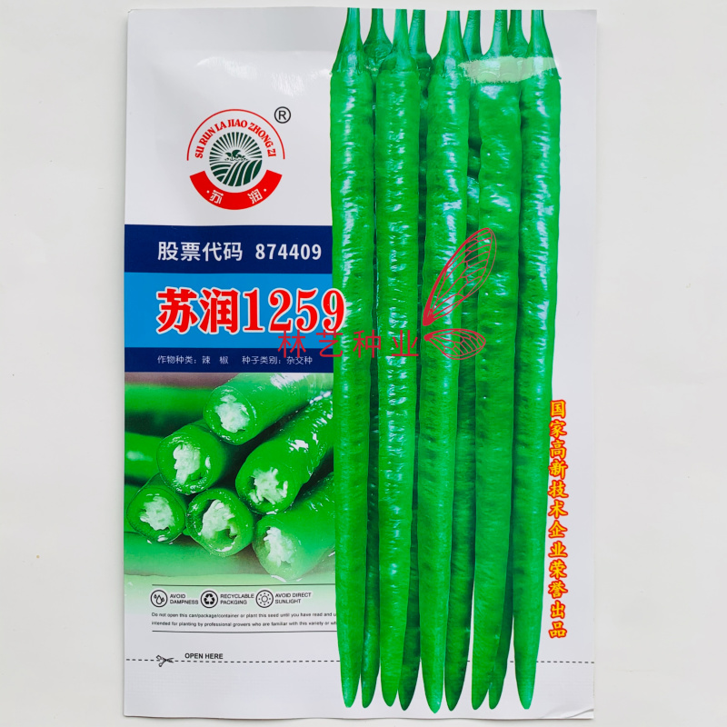 苏润1259辣椒种子果长约45厘米加长果条椒抗性好产量高