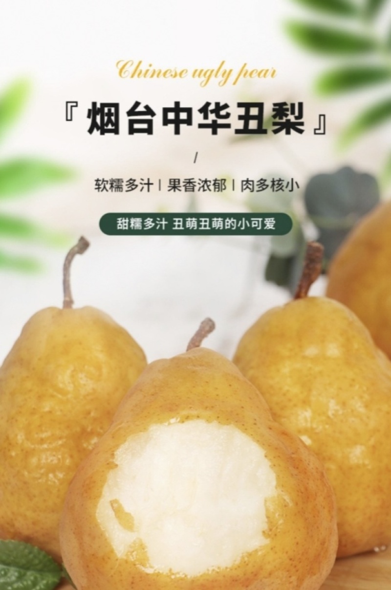 电商代发烟台中华丑梨软糯蜜甜产地直发对接直播电商抖音各平
