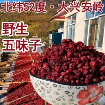 东北五味子长白山原产地泡水喝野生新货五味子