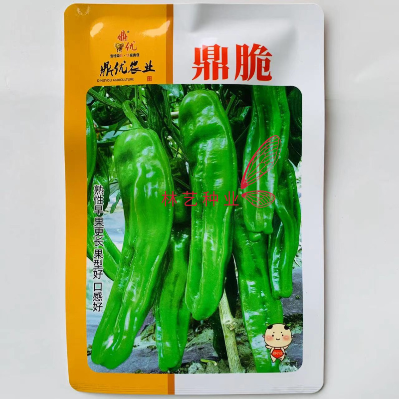 鼎脆长灯笼型早熟薄皮青椒种子皮薄质嫩口感甜辣泡椒种子春秋