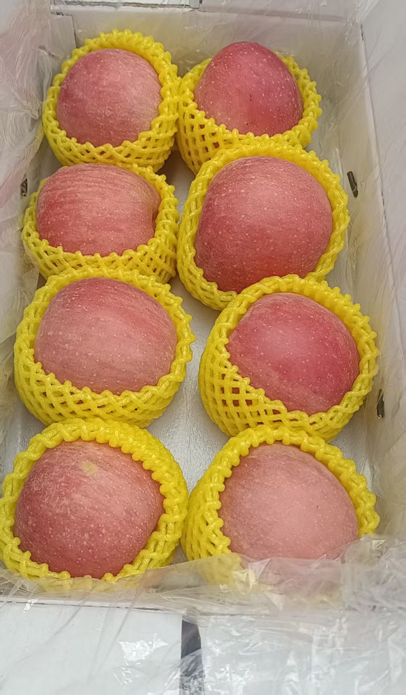 鲜果红富士苹果