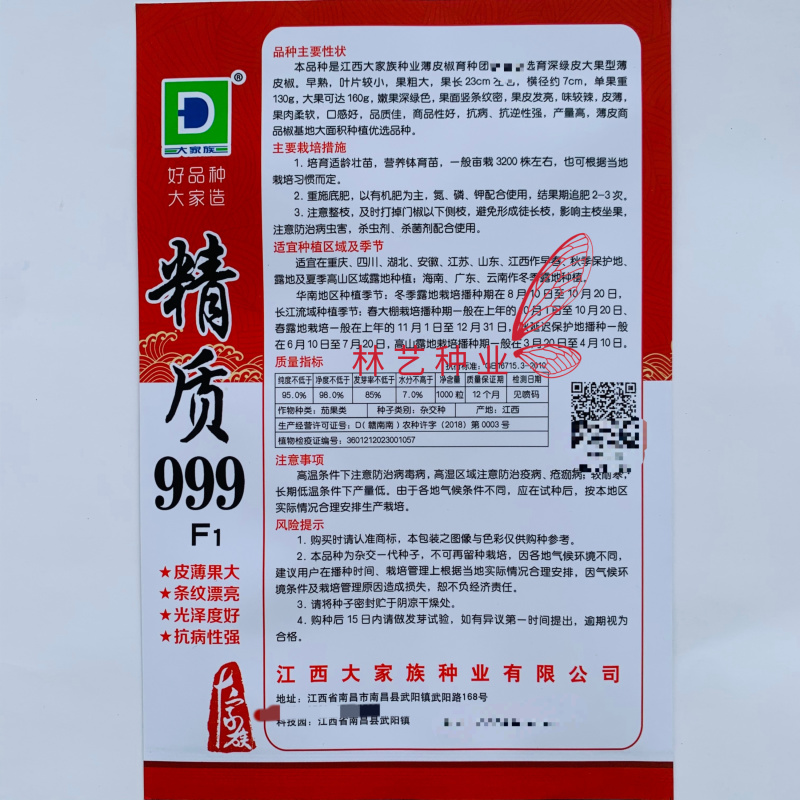 精质999辣椒种子早熟大果型薄皮椒种籽味较辣坚条纹密