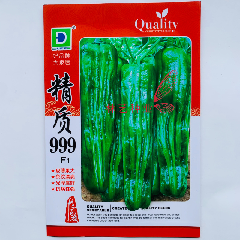 精质999辣椒种子早熟大果型薄皮椒种籽味较辣坚条纹密