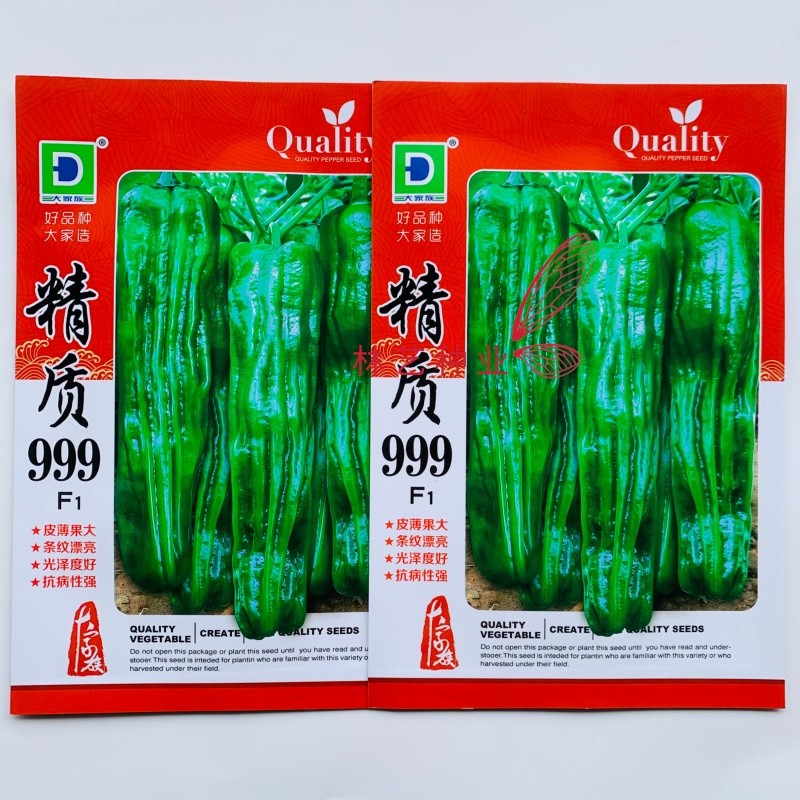 精质999辣椒种子早熟大果型薄皮椒种籽味较辣坚条纹密