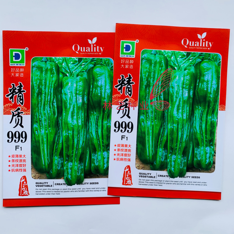 精质999辣椒种子早熟大果型薄皮椒种籽味较辣坚条纹密