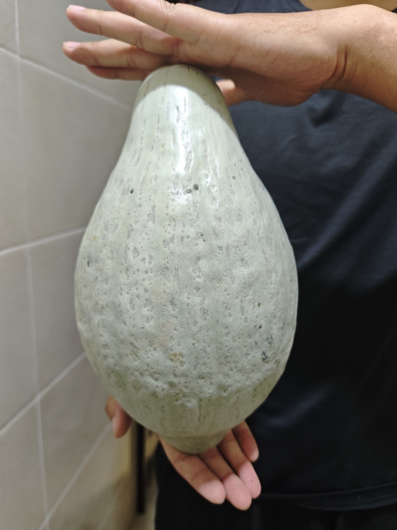 正宗新疆丑南瓜(橄榄蜜）非贝贝孕妇宝宝代餐辅食当季