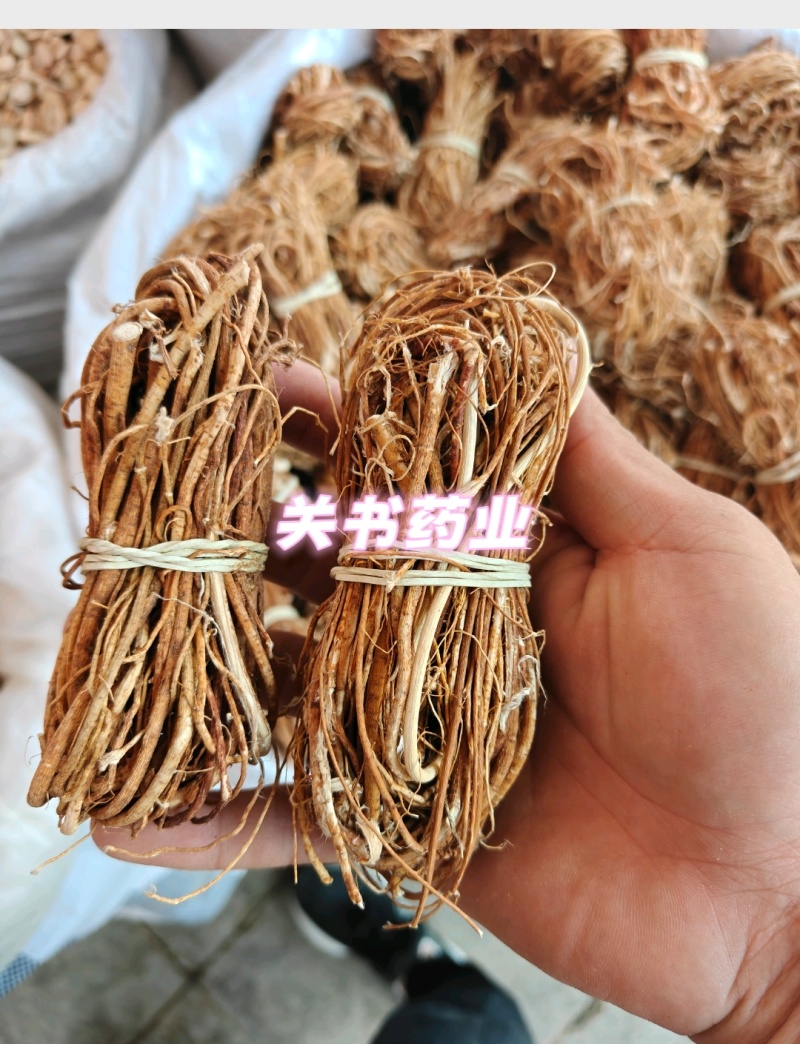 五指毛桃，选气味方香五指毛关书药材批发中药材