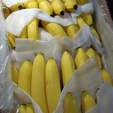香蕉