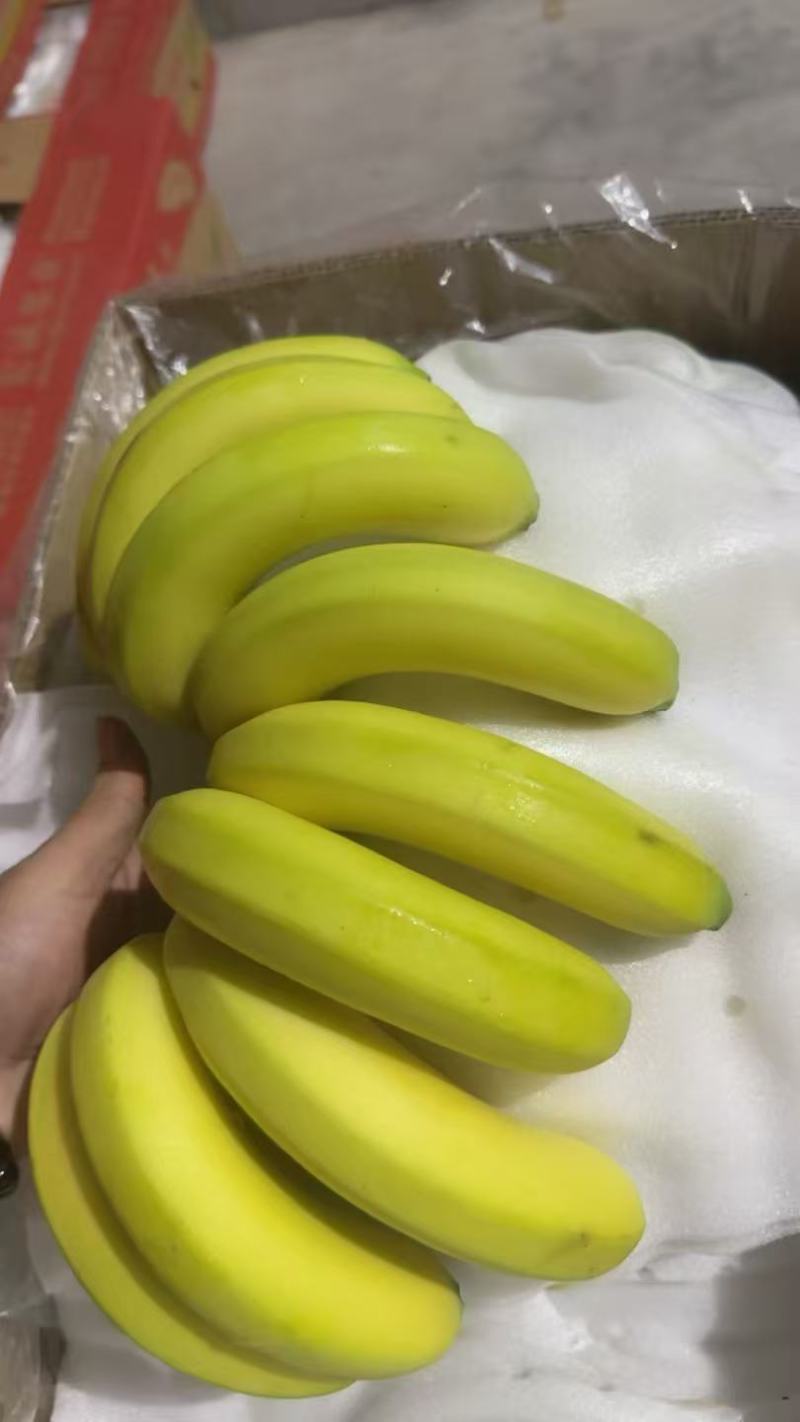 香蕉