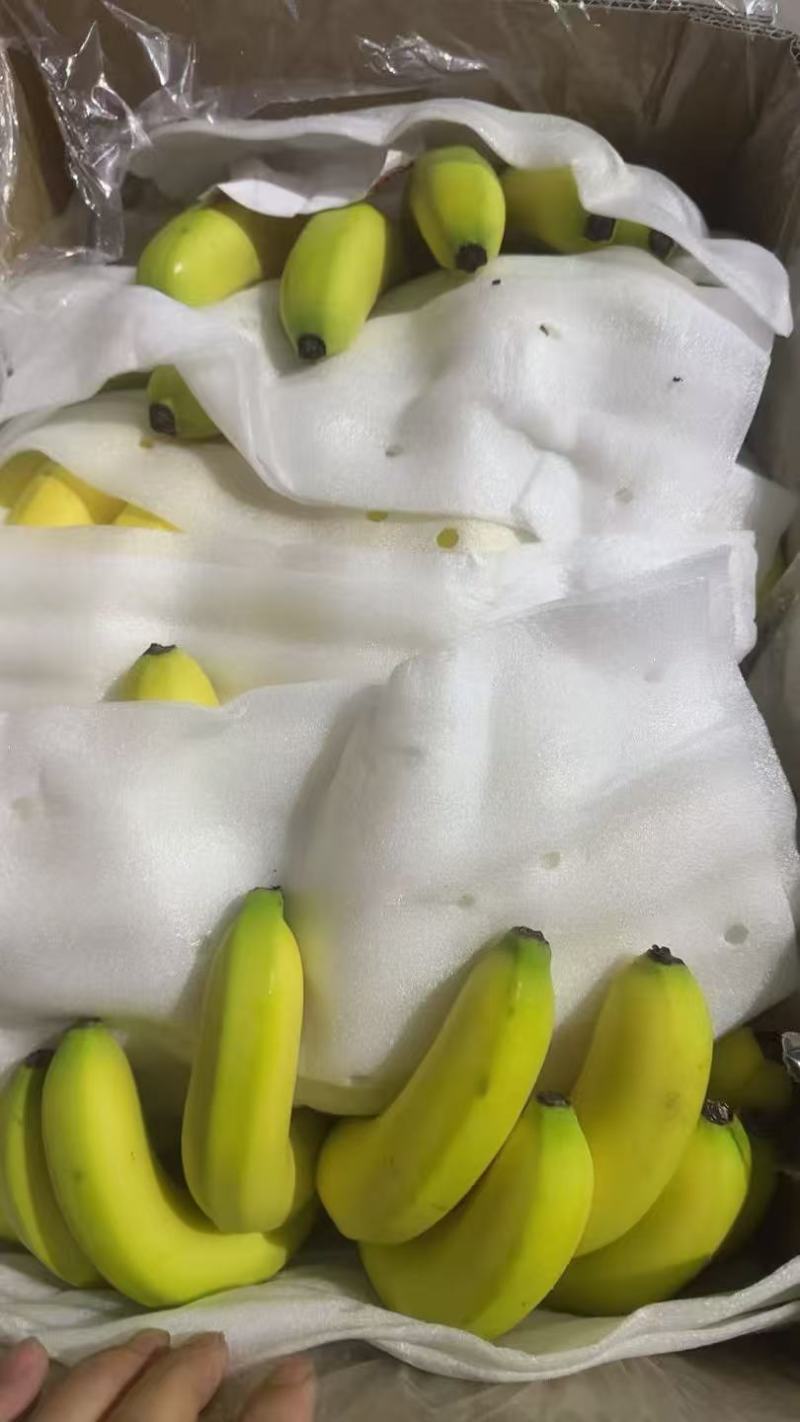 香蕉