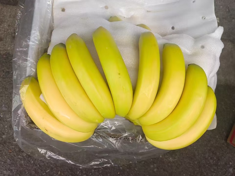 香蕉