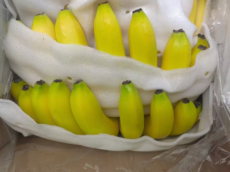 香蕉