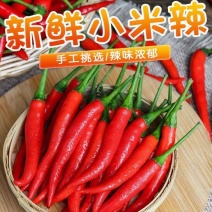 精品小米红尖椒今日特价品质好质量有保证适合店商超市各大市