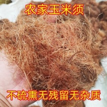 玉米须茶新鲜货干品批代发中药材天然农家自采玉米毛毛玉米芯