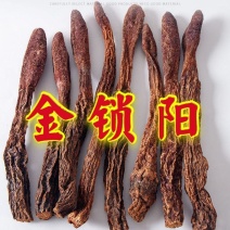 【金锁阳】阿拉善野生锁阳整个正品锁阳泡茶泡酒料沙漠锁阳批