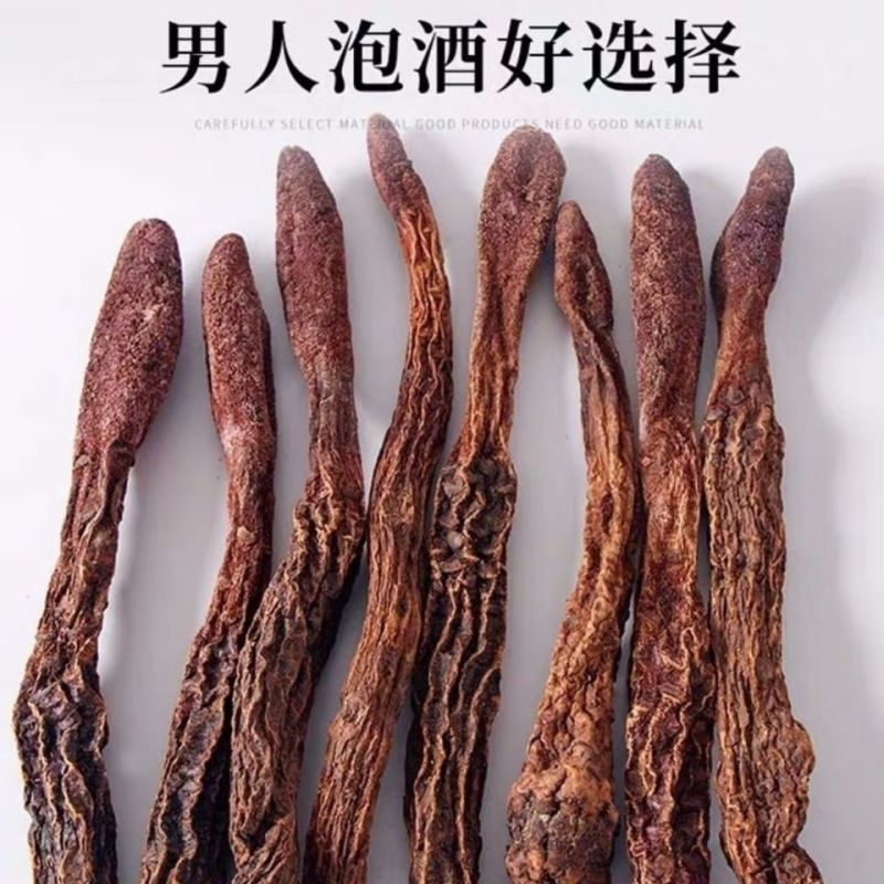 【金锁阳】阿拉善野生锁阳整个正品锁阳泡茶泡酒料沙漠锁阳批