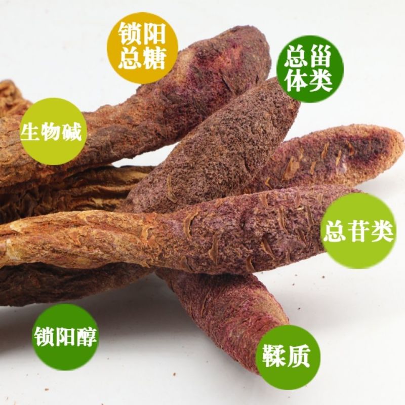 【金锁阳】阿拉善野生锁阳整个正品锁阳泡茶泡酒料沙漠锁阳批