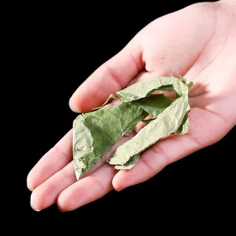 金锁阳正宗内蒙古阿拉善整根锁阳片肉苁蓉淫羊藿中药材泡茶肉