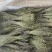 独脚金各规格有货颜色青绿货均有大量供应对接全国市场
