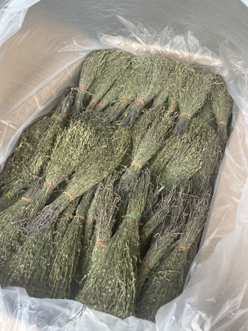 独脚金各规格有货颜色青绿货均有大量供应对接全国市场
