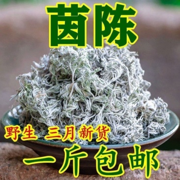 野生茵陈一等品正品晒干茵陈新鲜祛湿干货农户采摘茵陈