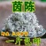 野生茵陈一等品正品晒干茵陈新鲜祛湿干货农户采摘茵陈