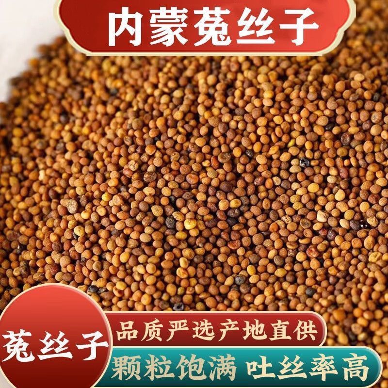 菟丝子正宗内蒙***野生菟丝子特级新货吐丝子沙苑子泡茶