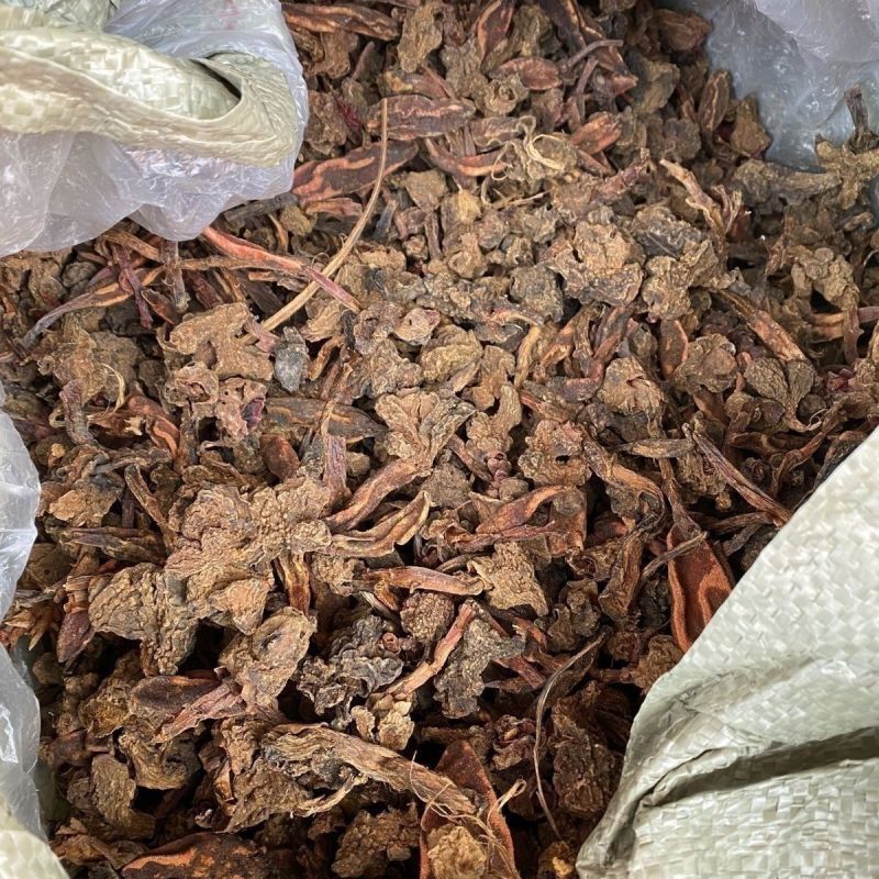 回春草泡茶回春草起阳草战神金刚云南正宗回春草泡酒泡茶野生