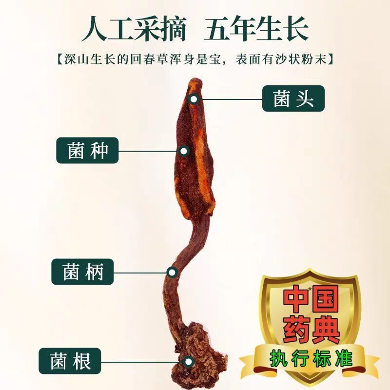 野生回春草干货***云南新货回春草滋补养生泡酒煲汤回春草
