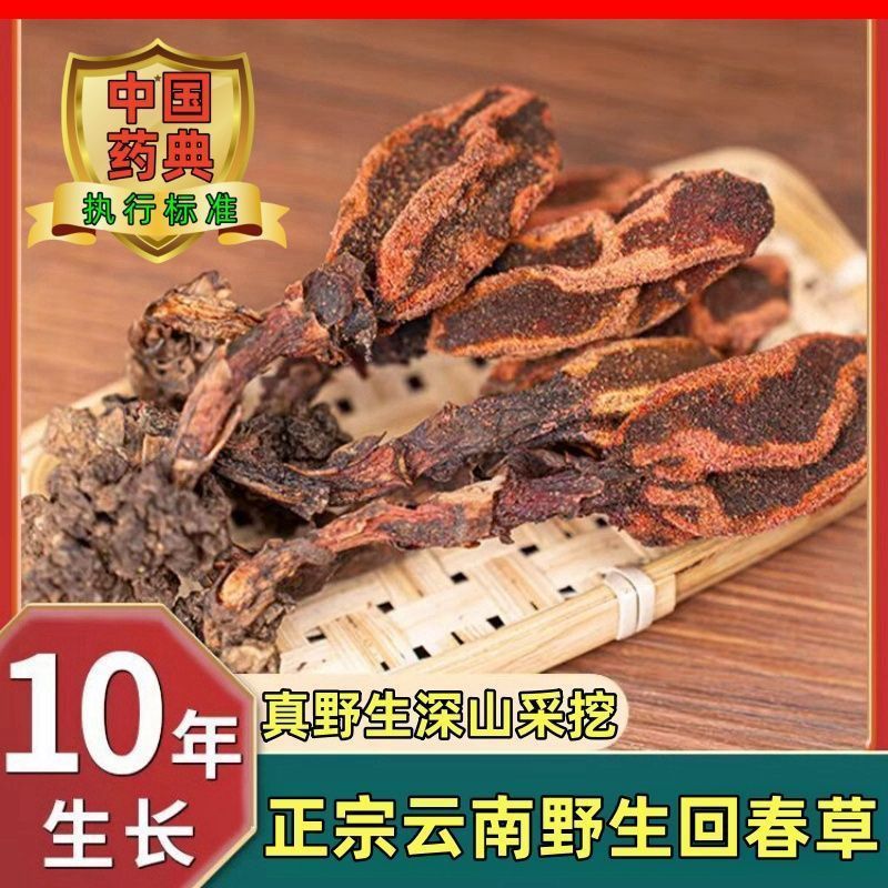 野生回春草干货***云南新货回春草滋补养生泡酒煲汤回春草