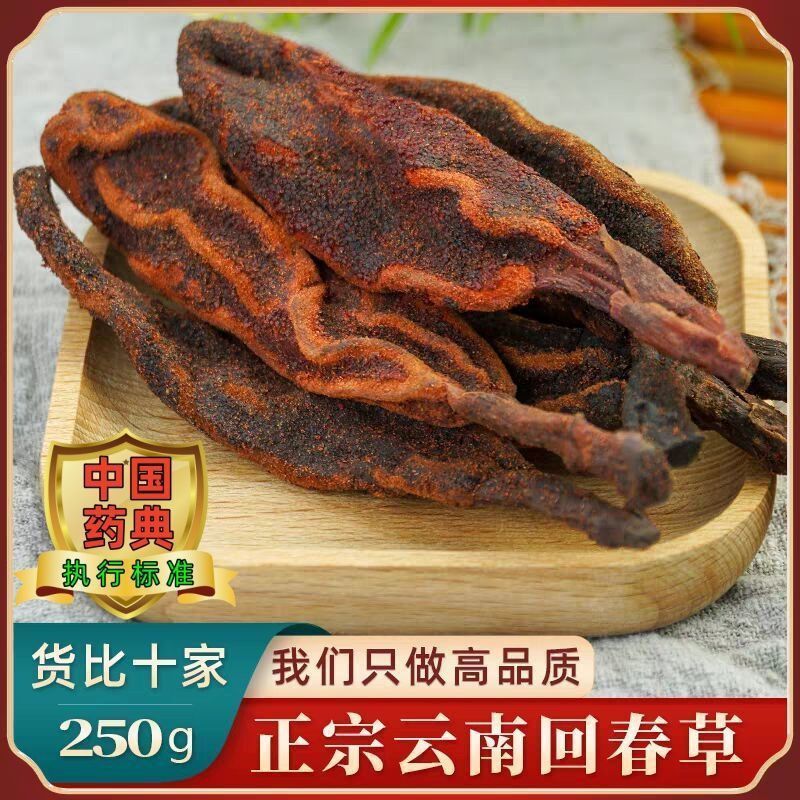 野生回春草干货***云南新货回春草滋补养生泡酒煲汤回春草
