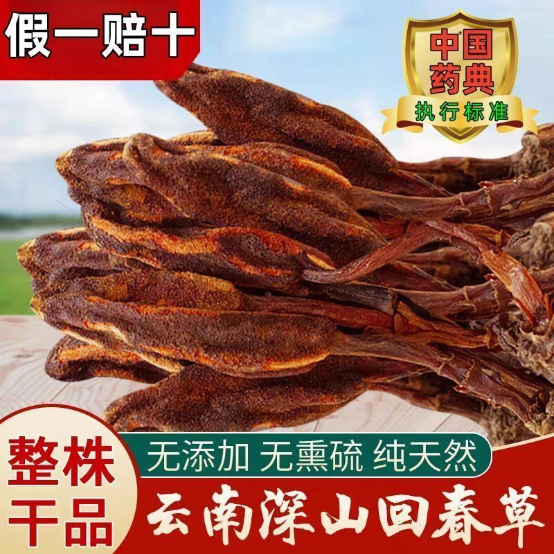 野生回春草干货***云南新货回春草滋补养生泡酒煲汤回春草