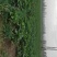 合作社种植基地大量成熟欢迎各位老板洽谈采购