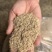 小米粗油糠