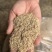 小米粗油糠