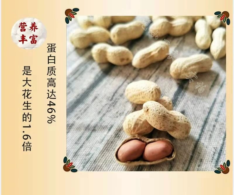 【包邮】精选5斤小珍珠花生炒原味核桃蒜香熟花生小粒带壳1