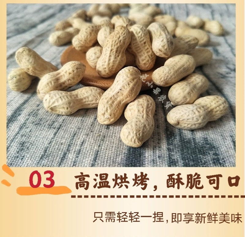【包邮】精选5斤小珍珠花生炒原味核桃蒜香熟花生小粒带壳1